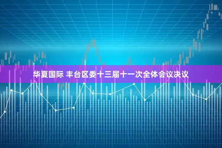 华夏国际 丰台区委十三届十一次全体会议决议