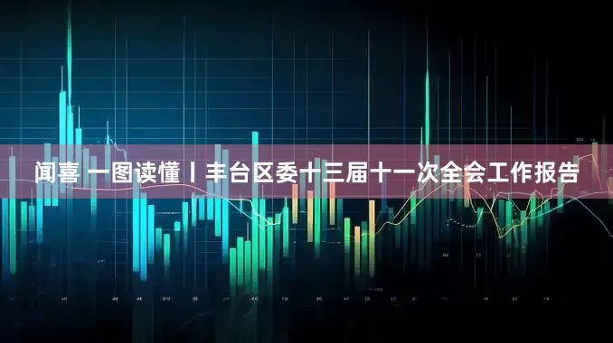 闻喜 一图读懂丨丰台区委十三届十一次全会工作报告