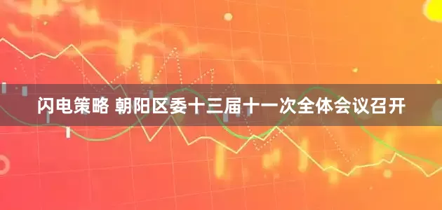 闪电策略 朝阳区委十三届十一次全体会议召开