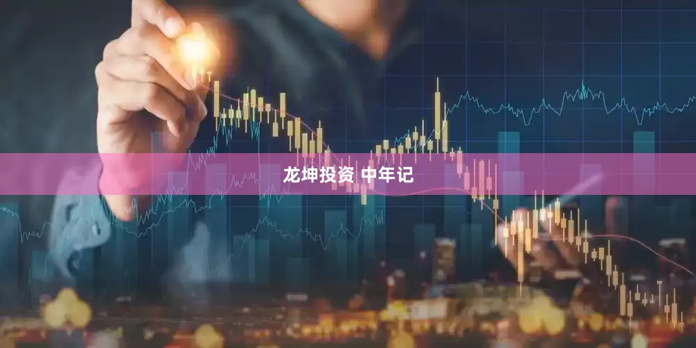 龙坤投资 中年记